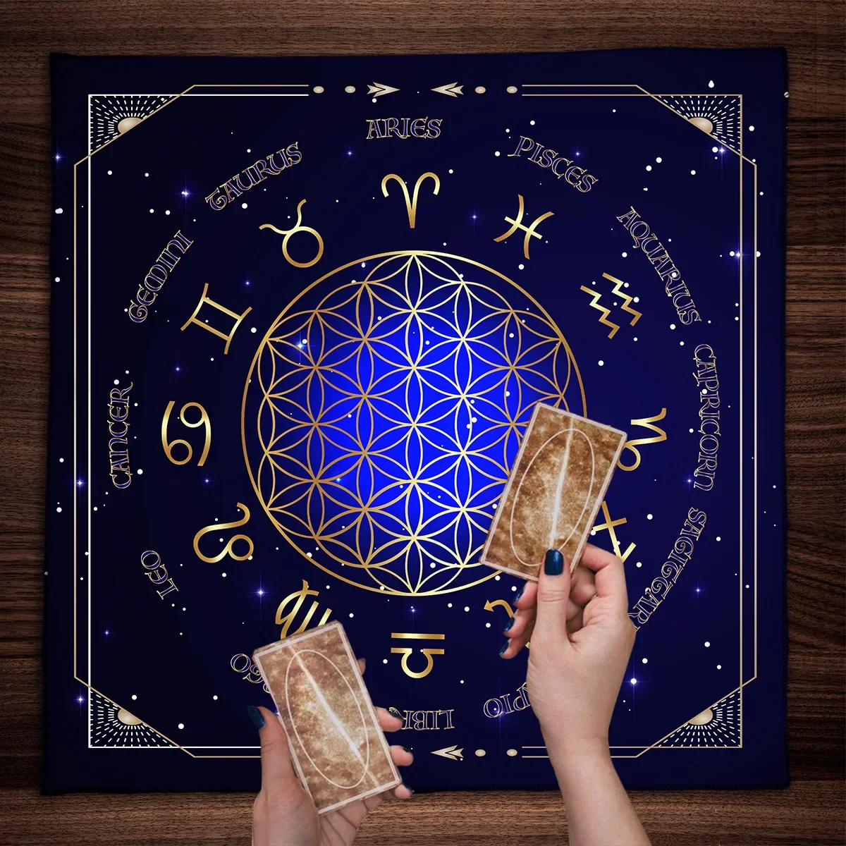 Wiel Van De Dierenriem Tarot T - Zodiac Party Games recensie en prijs